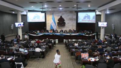 Los primeros días de enero, los diputados estarán aprobando el presupuesto, aseguró Rasel Tomé.