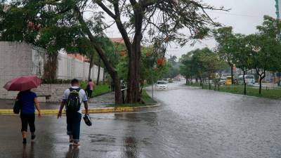 <b><span class=mln_uppercase_mln>Frío.</span></b> La masa de aire frío ingresará hoy por la noche.<span class=mln_uppercase_mln> </span>