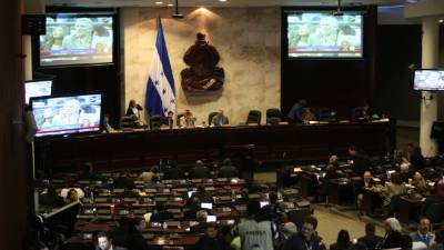 El Congreso Nacional está afanado discutiendo temas de última hora.