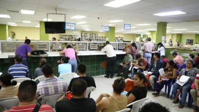 Contribuyentes hacen fila para solicitar su RTN en la DEI de San Pedro Sula. Foto: Franklyn Muñoz