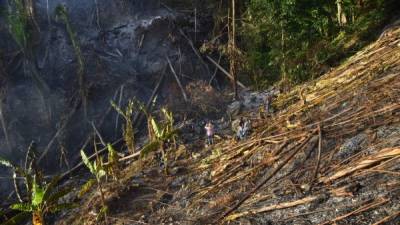 Los daños causados por el incendio en una montaña de la zona protegida Nombre de Dios fueron inspeccionados por las autoridades ambientales y bomberos para proceder contra los responsables del crimen ambiental. FOTOS:Luis Lemus