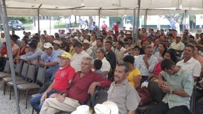Cientos de productores asistieron ayer a las instalaciones de la regional del Ihcafé en la ciudad. Fotos: Melvin Cubas