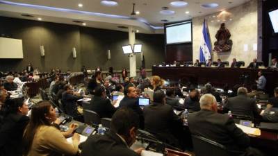 Las reformas a la Ley de la Policía serán aprobas en primer debate en las sesiones programadas en Choluteca.