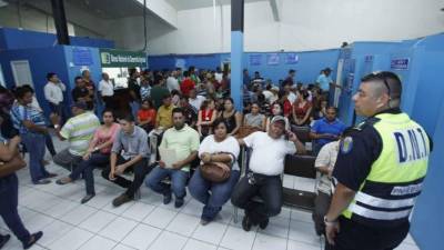 Desde tempranas horas, los conductores hacen extensas filas en las oficinas de Tránsito. Foto: Wendell Escoto