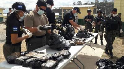 Autoridades de la Dirección de Lucha contra el Narcotráfico presentaron la droga recuperada del avión siniestrado en Gracias a Dios.