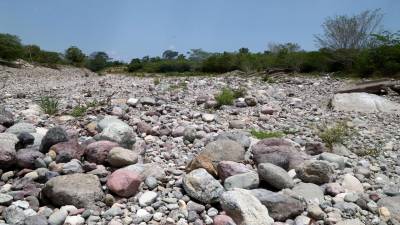 El intenso verano deja sus efectos en los ríos que han perdido su caudal.