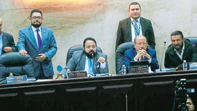 <b><span class=mln_uppercase_mln>Directiva.</span></b> Luis Redondo es el titular del Legislativo, cuya elección se vio envuelta en polémica.<span class=mln_uppercase_mln> </span>
