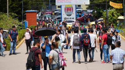 Despido en Junta Universitaria daña gobernabilidad de la Unah