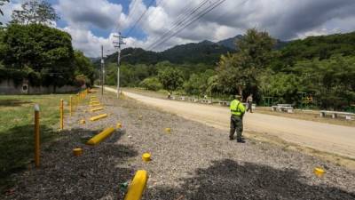 Seguridad. El predio cuenta con seguridad y máquinas para ejercitarse.