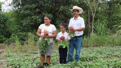 La “Finca Hogar” de Jacobo Estévez está en la comunidad de Potrerillos, Corquín, Copán.