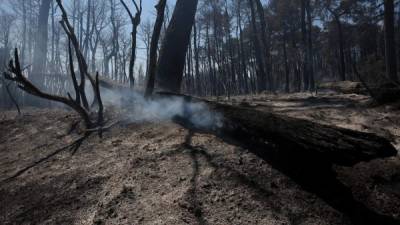 Las emisiones de dióxido de carbono y otros gases de efecto invernadero se doblaran a mediados de siglo.