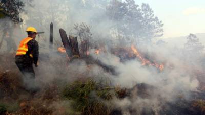 La destrucción de bosques por incendios en Honduras, según la fuente del ICF, aumentó en los primeros dos meses en 1,406 hectáreas (67,4 %) frente a las 2.086 hectáreas que se quemaron en el mismo periodo de 2018.