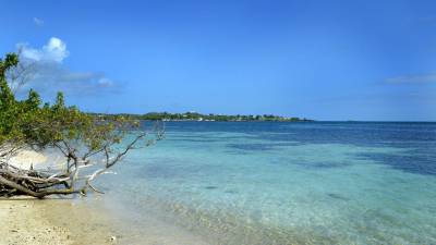 El fenómeno del Niño provoca olas de calor en todo el mundo.