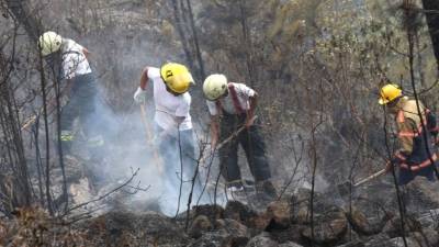La destrucción de la naturaleza, a menudo por la mano del hombre, reduce la habitabilidad del planeta, y es en nuestro propio interés a largo plazo que luchemos por conservarla.