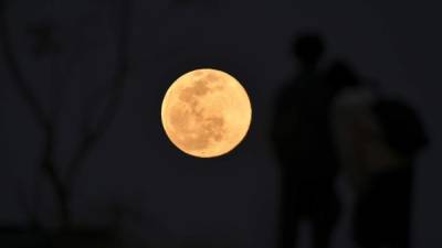 La luna de lobo dará un espectáculo astronómico esta noche./AFP.