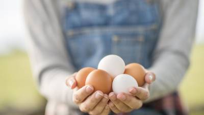 El huevo podría sustituirse por otros alimentos que tengan un aporte de proteína como queso fresco.
