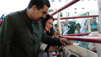 Nicolás Maduro asiste a una exposición ganadera en Venezuela.