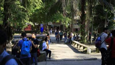 Jóvenes. Unos 40 estudiantes de la Unah-vs se han postulado a las becas.