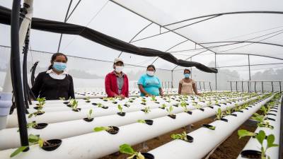 El proyecto está enfocado en una agricultura sostenible, enfocada en la conservación de los suelos hortícolas.