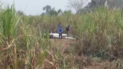 Las autoridades inspecciona el lugar donde cayó la avioneta.