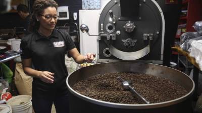 En la actual cosecha, Honduras prevé exportar unos 10 millones de quintales del grano y espera recibir más de 1,500 millones de dólares. Foto: EFE/Archivo