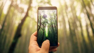 Los tres capítulos sobre el desarrollo del iPhone son el corazón del libro, pero también hay material de relleno.