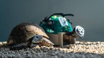 Meta presenta CM3leon, herramienta de IA capaz de generar imagen desde texto y viceversa