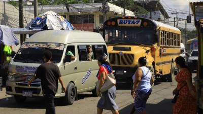En San Pedro Sula hay inscritos legalmente unos 1,500 buses urbanos.
