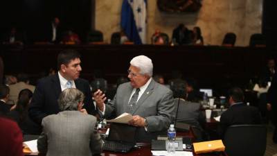 En el Congreso Nacional todavía faltan la aprobación de dos debates para elevar la Policía Militar a rango constitucional.