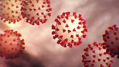 Los anticuerpos pueden bloquear el virus. Foto: AFP/Referencia