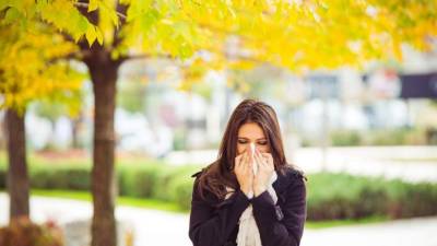 El cambio climático aumenta las alergias.