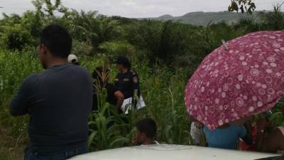 Los cuerpos de los hermanos fueron encontrados en unos sembradillos.