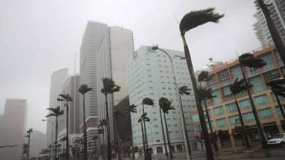 Los fuertes vientos provocan gran pánico entre los residentes y turistas en Florida.