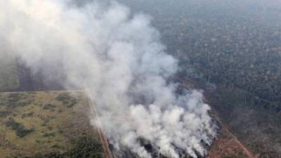 La Amazonia ha estado en llamas desde hace más de 17 días. Foto: Reforma