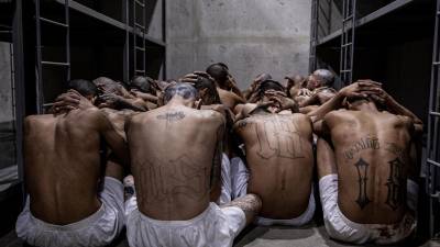 Un segundo grupo de 2,000 supuestos pandilleros presos fue trasladado el miércoles bajo fuertes medidas de seguridad a la cárcel “más grande de América”, informó el presidente de El <b>Salvador</b>, Nayib Bukele.