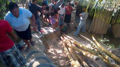 Los demás miembros de la familia se escondieron en los alrededores para no ser vistos.