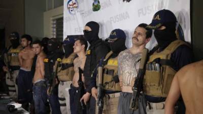 Momento en que eran arrestados por los agentes antimaras en San Pedro Sula.
