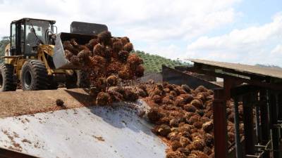 El objetivo es poner en funcionamiento dos plantas a medio plazo, para lo que la compañía colombiana Inal ya ha invertido un millón de dólares.