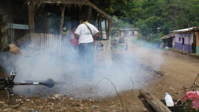 El eslogan de la campaña es 'En mi casa no le hago casa al dengue', indicó la Presidencia de Honduras en un comunicado.