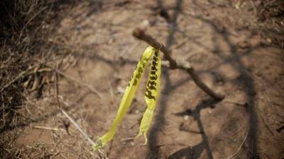 Pidieron además una reunión “urgente” con el fiscal general (interino) de Honduras, Johel Zelaya.