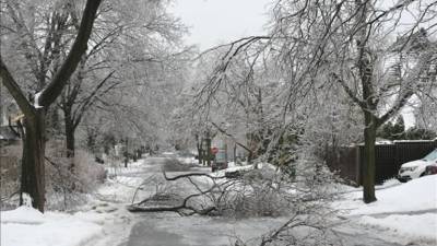 Ramas caídas por el peso del hielo obstaculizan el paso por una calle hoy domingo en Toronto (Canadá). EFE