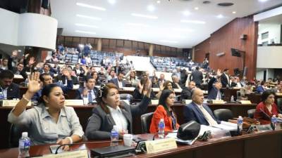 Los congresistas discutirán la iniciativa esta semana.