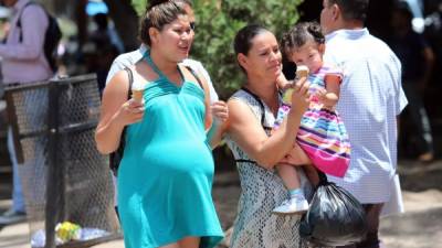En San Pedro Sula en diez meses se han inscrito 14,713 niños.