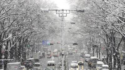 Varios coches circulan por la calle comercial de Omotesando en Tokio (Japón) durante una fuerte nevada. Foto Archivo EFE