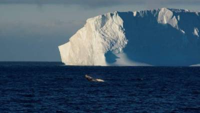 Del total del aumento del nivel del mar, 10,6 milímetros (60 por ciento) se debió a las pérdidas de hielo de Groenlandia y 7,2 milímetros (40 por ciento) a las de la Antártida.
