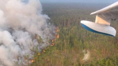El incendio desatado en Siberia ha devorado cientos de hectáreas de bosque./AFP.