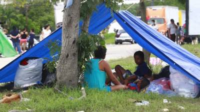 Cientos de hondureños siguen damnificados en el bulevar del este de San Pedro Sula.