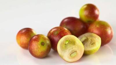 La fruta camu-camu contiene mucha vitamina C.