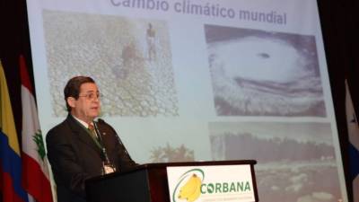 Jorge A. Sauma, gerente general de Corbana.