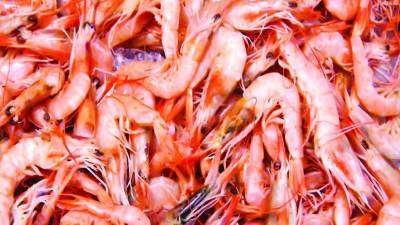 <b>En total, 22,500 hectáreas en el golfo de Fonseca se encuentran cultivadas con camarón en Valle y Choluteca.</b>